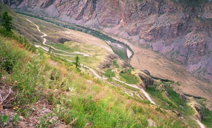 Treci cat-yaryk, călătorul