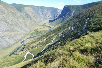 Treci cat-yaryk în muntele Altai