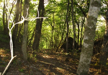 Peștera de permafrost