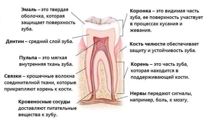 Miért emberiség szenved fogszuvasodás, és hogy lehet-e foglalkozni vele