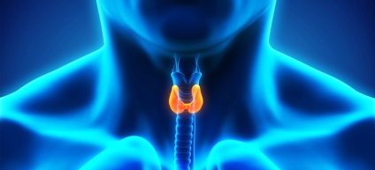 De ce glanda tiroidă scade odată cu vârsta și decât amenință