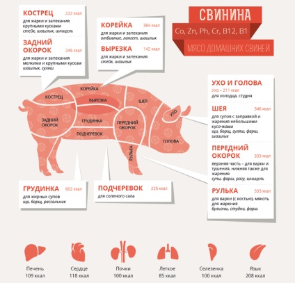 Roșie, sculptură și carbohidrați la porcul unde se află schemele și fotografiile