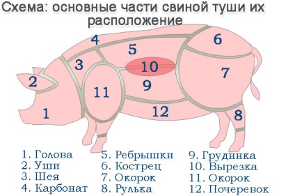 Podcserevok, far, hátszín és karbonát egy disznó, hogy hol, ábrák és fotók