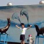 Lumea subacvatică a acvariului Sinao și a delfinarului