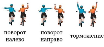 Reguli ale drumului pe bicicletă - siguranță pe drumuri