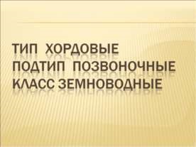 Prezentare pe tema - vrăjitoare de noapte - descărcare gratuită