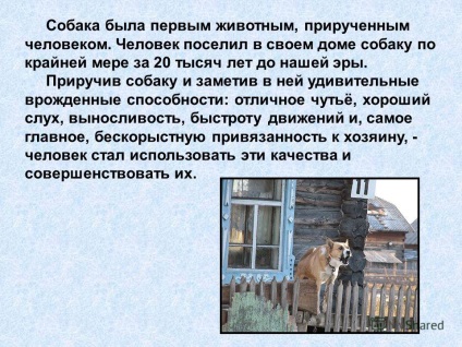 Prezentare pe tema unui câine - un prieten credincios și devotat al muncii efectuate de Yelkin Serghei
