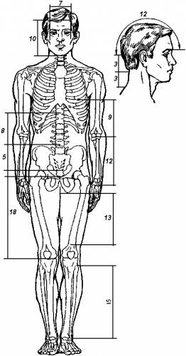 Element dispozitiv, acupunctura, acupunctura