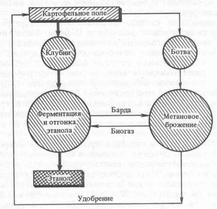 Etil-alkohol gyártása burgonyából