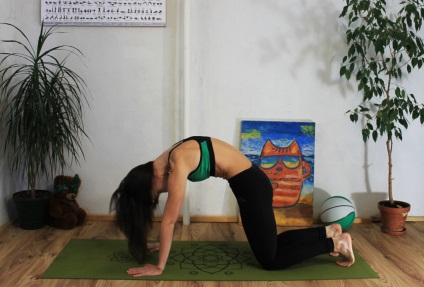 Poziții simple și eficiente în yoga