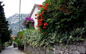 Risan - ünnep Montenegróban, személyes tapasztalatok egy életre
