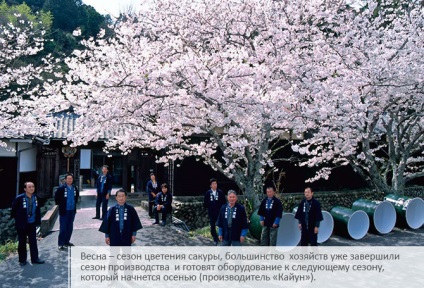 Sake - prezentare pe Internet