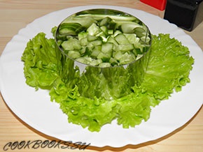 Zöldség, uborka, bors, retek és paradicsomos tavaszi saláta