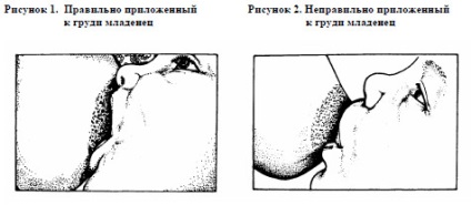 Site-ul chirurgului Matveyev Andrew