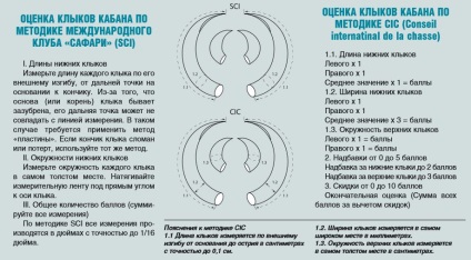 Sistemul de clasificare și evaluare a trofeului trofeului este modul în care se poate evalua un vier trofeu,