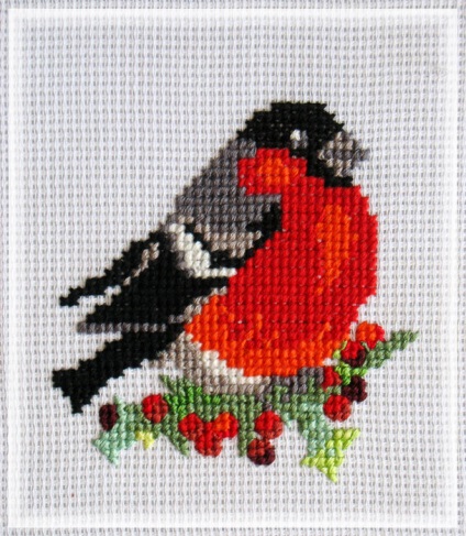 Bullfinch pentru broderie - broderie de bullfinches cu un model cruce și o descriere