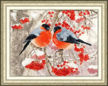 Bullfinch pentru broderie - broderie de bullfinches cu un model cruce și o descriere