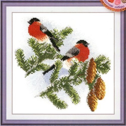 Bullfinch pentru broderie - broderie de bullfinches cu un model cruce și o descriere