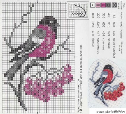 Bullfinch pentru broderie - broderie de bullfinches cu un model cruce și o descriere