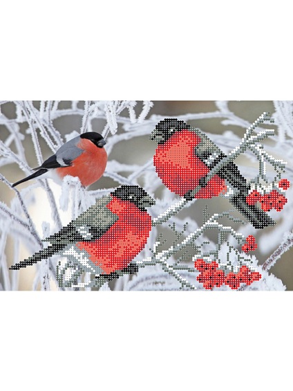 Bullfinch pentru broderie - broderie de bullfinches cu un model cruce și o descriere