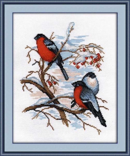 Bullfinch pentru broderie - broderie de bullfinches cu un model cruce și o descriere