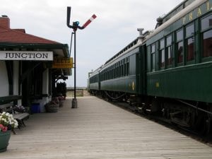 Un câine în tren, despre un prieten