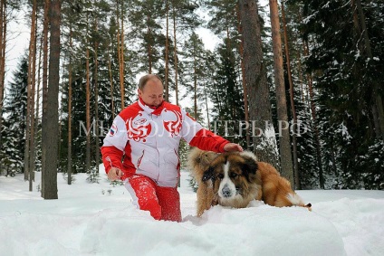 кучета на президента Путин