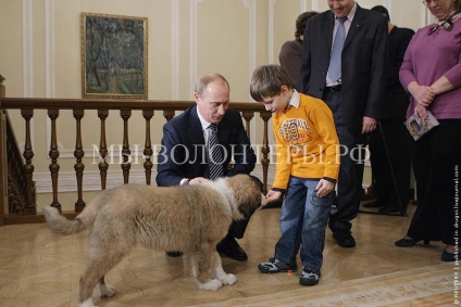 Putyin elnök kutyák
