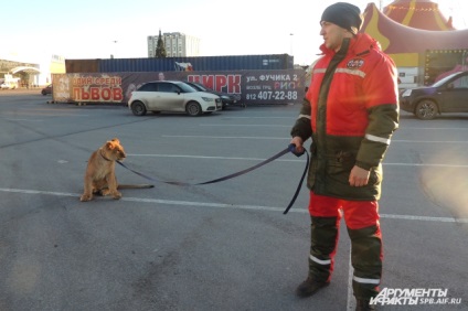 Cu un leu la Petersburg