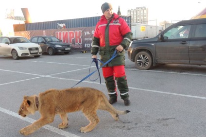 Cu un leu la Petersburg