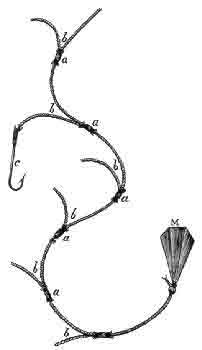 Sturgeon - horgászhelyek, a halászati ​​módszereket, a szerkezet a hal,