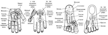 Rețete Su-jog - ajutați-vă și cei dragi - sisteme standard de potrivire