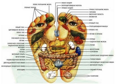 Su Jok terapie, puncte de influență pe palme și picioare