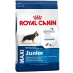 Hrana uscata pentru pui canina regina (canin regal mini junior), o dieta echilibrata pentru pui