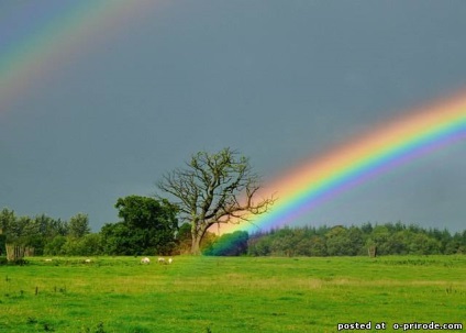 Un astfel de curcubeu incredibil - 18 fotografii - poze - photo world of nature