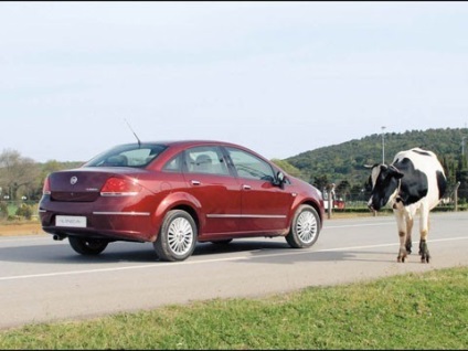 Unitatea de testare fiat linea fiat linea - un alt model pentru țările în curs de dezvoltare