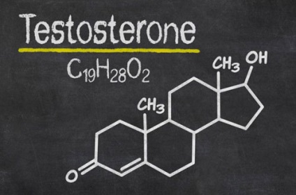 Testosteronul în culturism este important atât pentru bărbați, cât și pentru femei