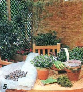 Terasă confortabilă în țară cu pergolă și cutie pentru plante