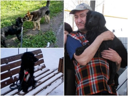 În mîini bune, chelnintsy despre animale fără adăpost, pe care le-au adăpostit