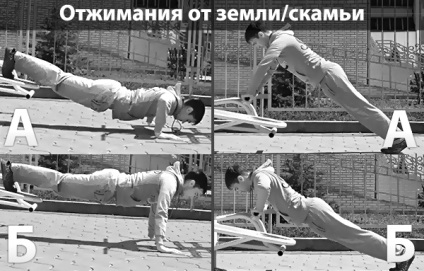 Programul de formare Vorkaut pentru mușchii pectorali