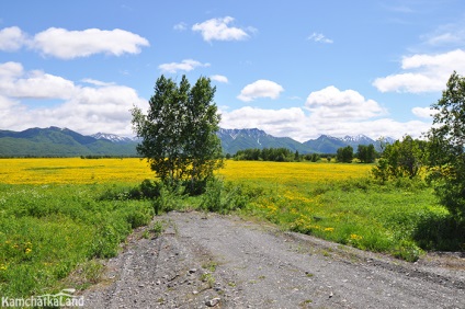 Urcare spre tolbacik vulcan pe Kamchatka, kamchatkaland