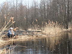 În apă mare