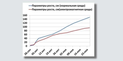 Efecte dăunătoare ale calculatorului asupra plantelor