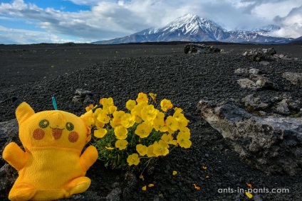 Volcano Tolbachik (Kamchatka)