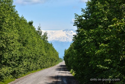 Volcano Tolbachik (Kamchatka)