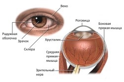 Halyazion pe ochiul cauzei, simptome, tratament