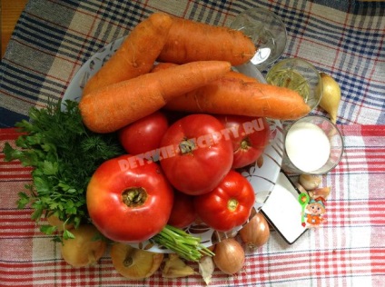 Îmbrăcăminte pentru un borscht pentru o iarnă de la o tomată și morcovi - rețeta cu o fotografie, rețete pentru copii, mâncăruri