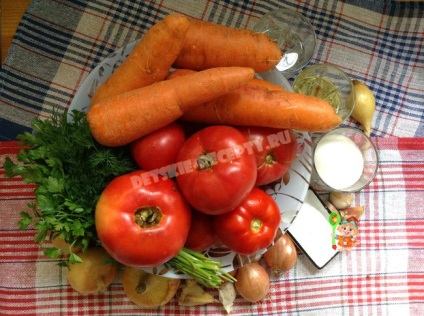 Töltőanyagok a borscs a téli paradicsom és a sárgarépa - recept fotókkal, gyermek receptek, konyha