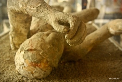 Fagyasztott emberek Pompeii (19 fotó)