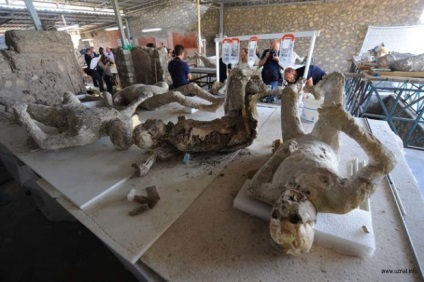 Fagyasztott emberek Pompeii (19 fotó)